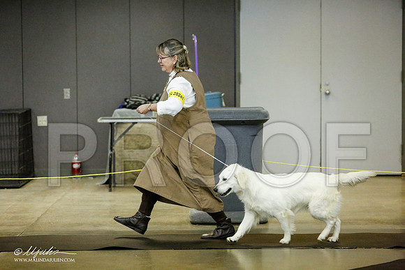 _RH_1064-BeltonJan2015IABCA-HR3