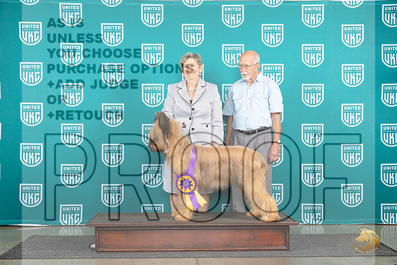 Briard #860 Wed BISS Judge Jennifer Landers__JP_1530_Premier_2024_HR3