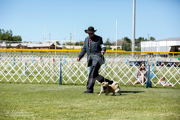 _JN_9267-AlamogordoOct2014-HR3