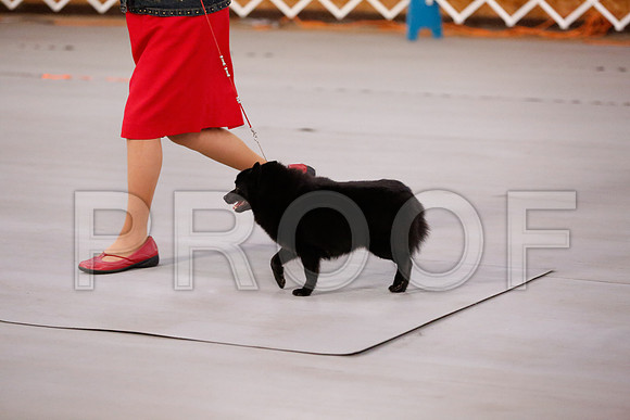 _RH_7803-CarlrolltonSept2014-HR3