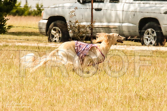 _MJ_4759-AfgBeltonOct2014-HR3