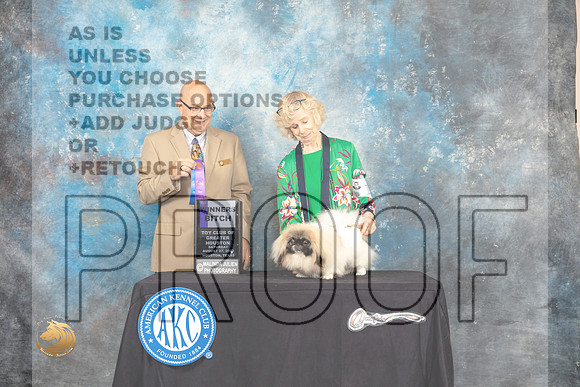 Pekingese #10 Sat WB Judge Bradley Jenkins_MJ_0153_HstnTOY_2022_HR3