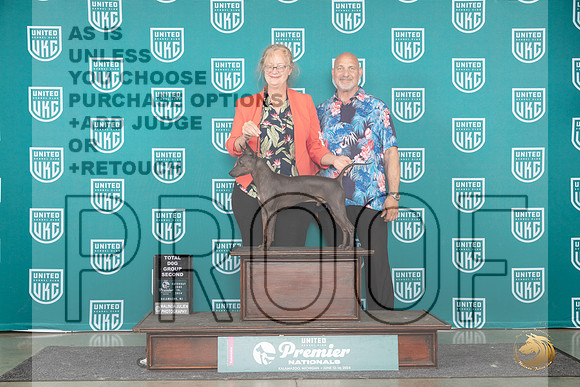 America Hairless Terrier #719 Sat TDG2 Judge Diane Price__JP_2695_Premier_2024_HR3
