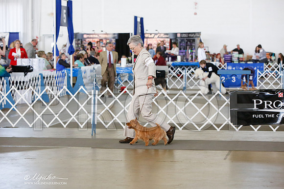 _JJ_8073-DallasJul2014-HR3
