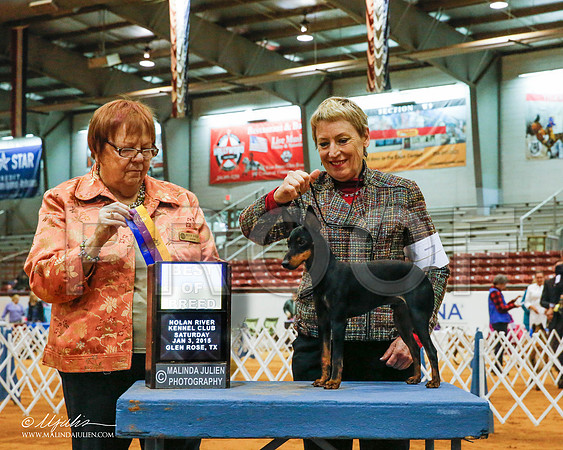 _RH_8711-2-GlenRoseJan2015-HR3