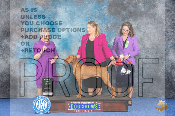 Vizsla #21 Wed AOM Judge Ida Kavafian__JP_7456_Houston_2024_HR3