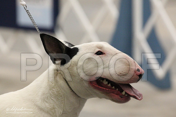 IMG_8057-Abilene2011-HR3