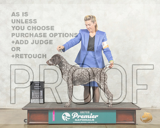 German Shorthaired Pointer #678 Sat TDG3 Judge Diana Brumbaugh__MJ_8770_Premier_2022_HR3