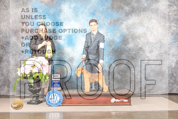 Lakeland Terrier #J418 Sun BJr Judge Fortner JacksonLakeland Terrier #J418 Sun BJr Judge Fortner Jackson_MJ_7778_Houston_2022_HR3_Houston_2022_HR3