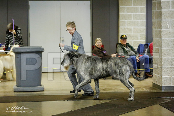 _RH_1378-BeltonJan2015IABCA-HR3