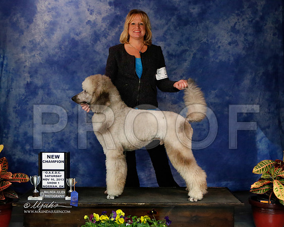 PoodStd-2-37-NormNov2013-HR
