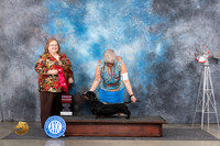 Dachshund #18 Fri G2 Judge Ann Roth
