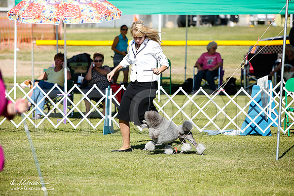 _JJ_6053-AlamogordoOct2014-HR3