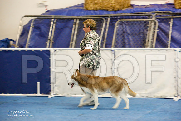 _M3_7841-AddisonHuskyMar2015-HR3