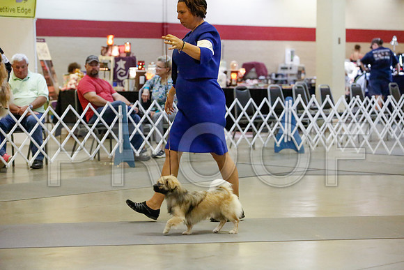 _JJ_0100-AmarilloSept2014-HR3