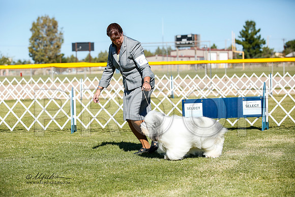 _JJ_2633-AlamogordoOct2014-HR3