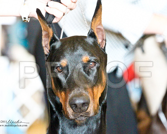 Dobe-3482-1