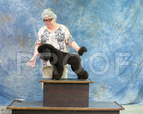 _RH_4332-BeltSep2014-HR