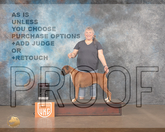 Boxer #285 Sat1 COC Judge Monique LaPierreMMJ_6132_Lngvw2022HR3