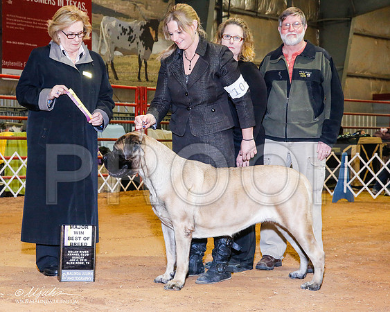 _RH_8902-2-GlenRoseJan2015-HR3