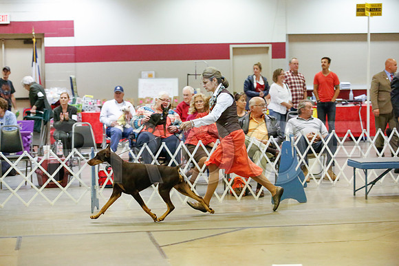 _JJ_0312-AmarilloSept2014-HR3