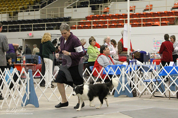 AQ5G1376-Abilene2011-HR3
