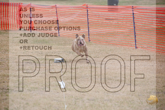 Precision Coursing Longview WA 2024 _JJL_3394_Longview WA_2024_HR3
