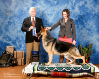 German Shepherd #21 Sat BOW