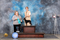 Toy Manchester Terrier #5 Sat OHBIS Judge Ann Roth