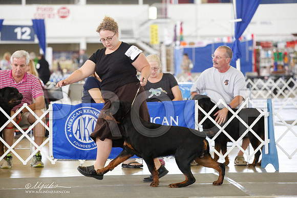 _HR_4270-DallasJul2014-HR3