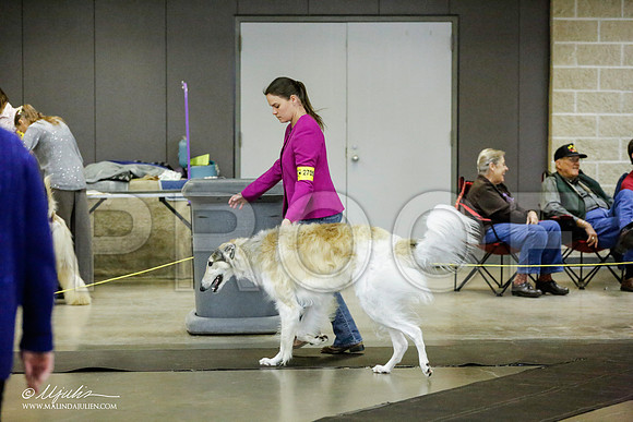 _RH_1317-BeltonJan2015IABCA-HR3