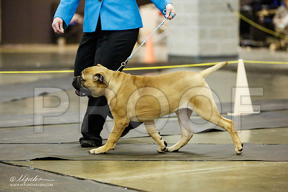 _RH_1545-BeltonJan2015IABCA-HR3