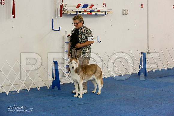 _M3_7845-AddisonHuskyMar2015-HR3