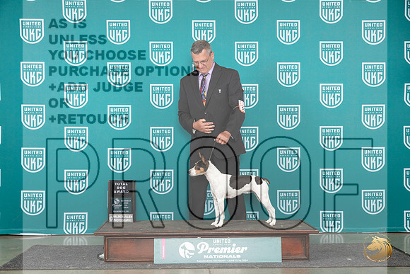 Rat Terrier #553 Sat TD Judge Diane Price__JP_2664_Premier_2024_HR3