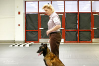 Belgian Malinois #219 FriTracie Kolhnsberg Peanut
