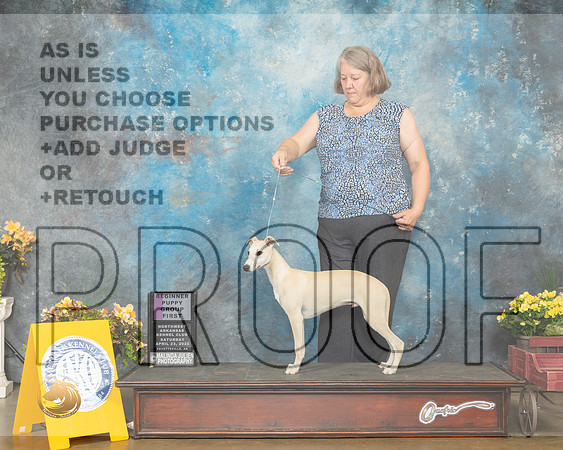 Whippet #5 Sat PG1 Judge Grace Fritz-MMJ_0316-NWARK2022-HR3