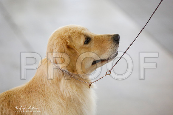 _JN_9418-DallasJul2014-HR3