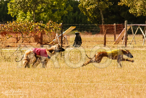 _MJ_5400-AfgBeltonOct2014-HR3