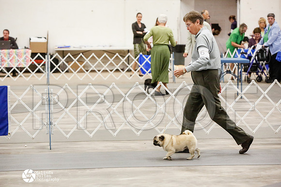 _CK_5987-AblnMay2014-web