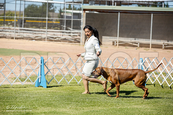 _JN_6024-AlamogordoOct2014-HR3