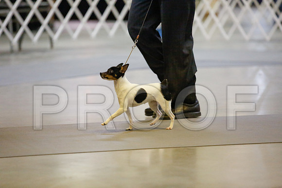 _JJ_8629-AmarilloSept2014-HR3