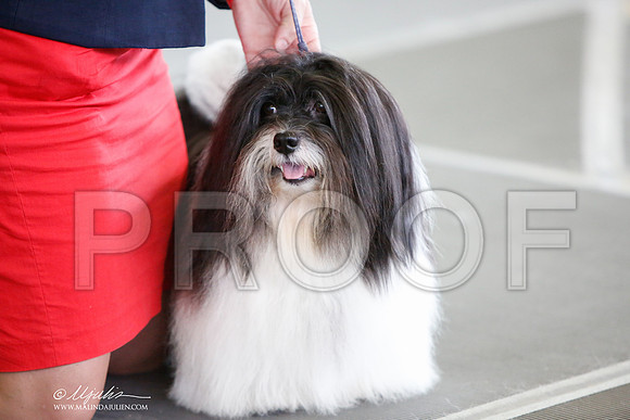 _JJ_3265-DallasJul2014-HR3