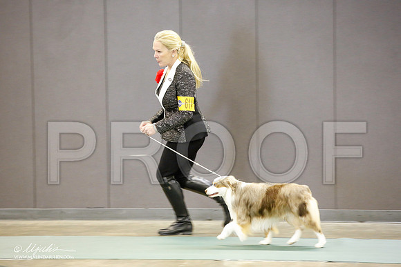 _JN_2358-BeltonJan2015-HR3