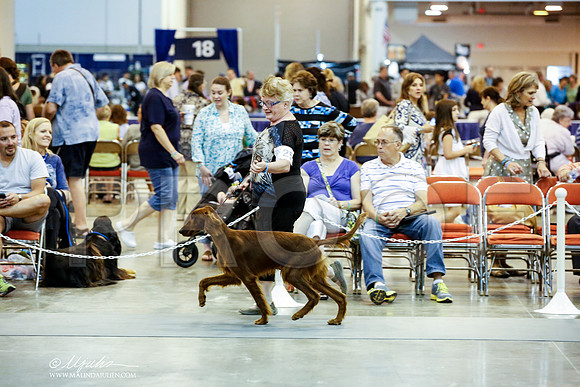 _JJ_4639-HstnJul2014-HR3