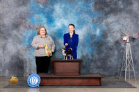 Chihuahua #J755 Sat BJr Judge Ann Roth