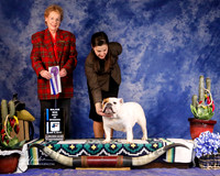 Bulldog #48 Fri Best of Winners Cash Lisa M and Christie L Judge A Gomez