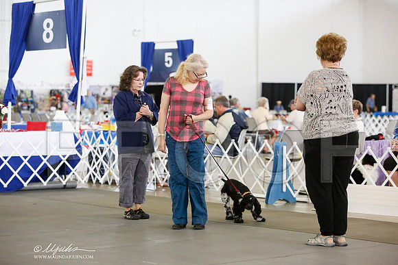 _JN_8639-DallasJul2014-HR3