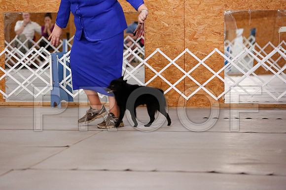_RH_7859-CarlrolltonSept2014-HR3