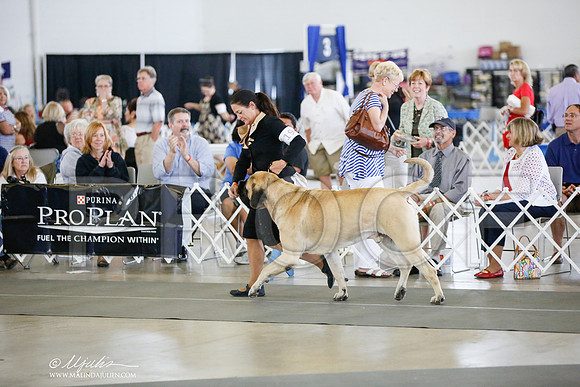 _JJ_6690-DallasJul2014-HR3