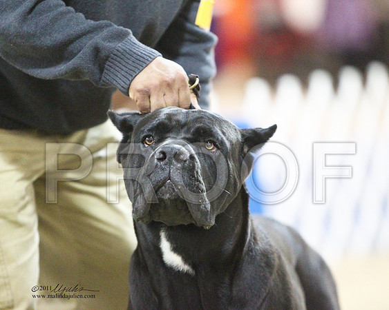 Cane-5134LR